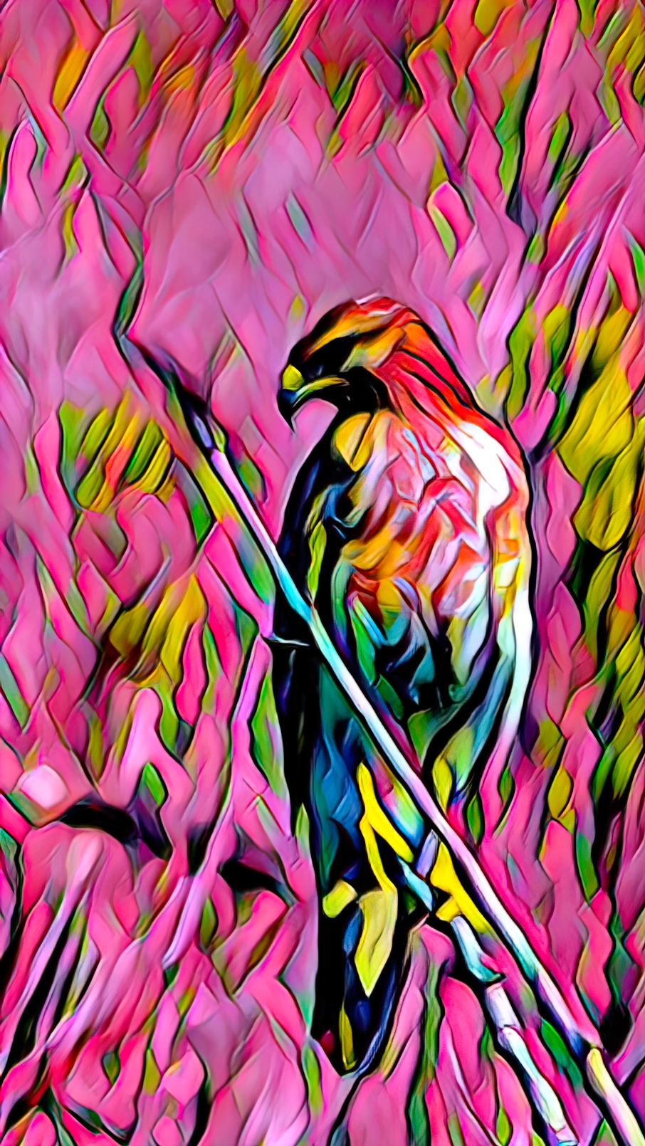 Predator's Focus